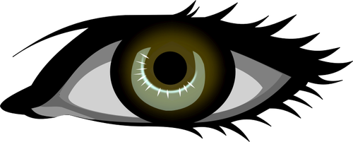 Hnědé oko vektorový obrázek
