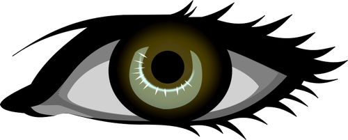 Brown eye vector image