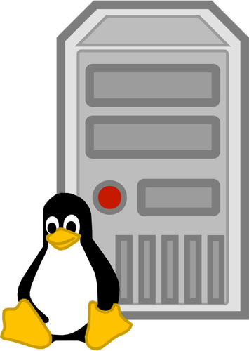 Färg vektorbild av Linuxserver