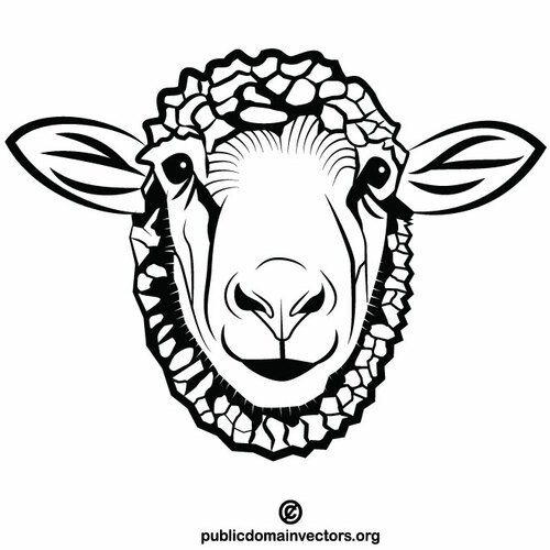 Głowa owiec