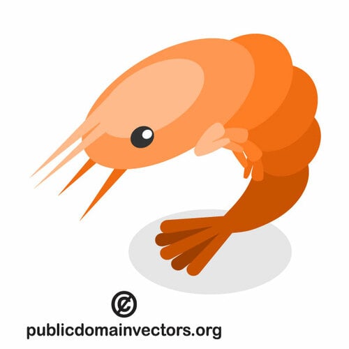 Camarão vector clipart