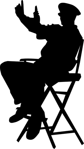 Director in chair