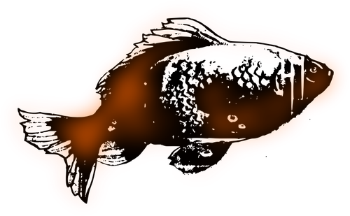 Simplu goldfish