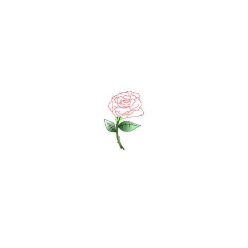 Single rose vector image