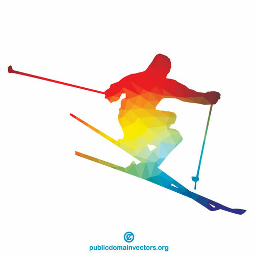 Skier silhouette