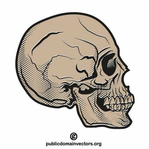 Schädelprofil-Vektor