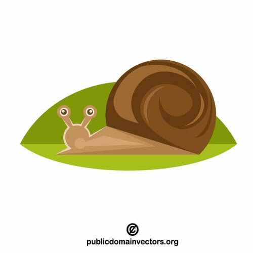 Snail vector clip art