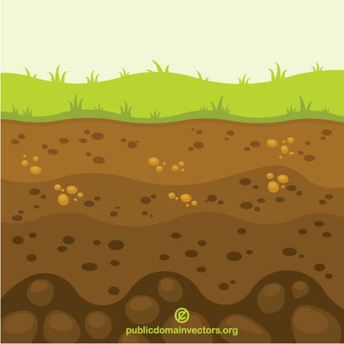 土壌層