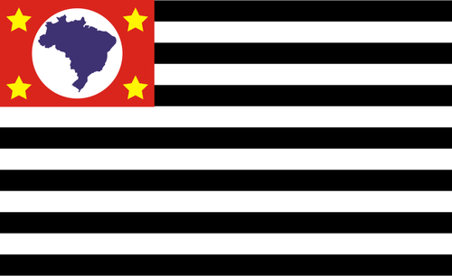 Bandeira de Sao Paulo bayrak vektör görüntü