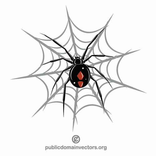 Păianjen net vector grafic