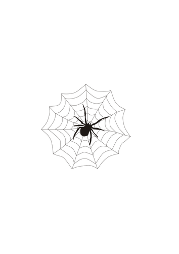 蜘蛛と web