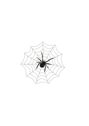 Spider and web