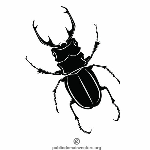 Stag beetle