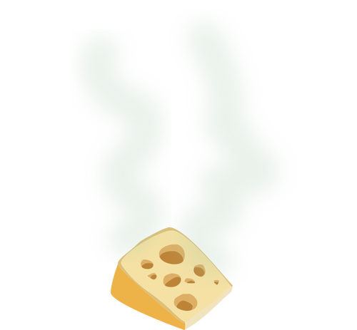 Kokmuş peynir vektör görüntü