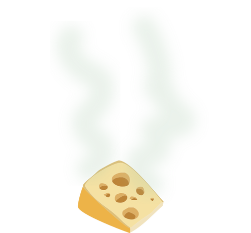 Stinky cheese vector image