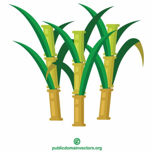 Sugar cane | Public domain vectors