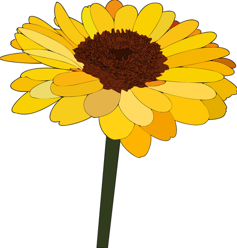 Sunflower vector drawing