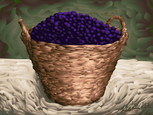 Plum basket vector image