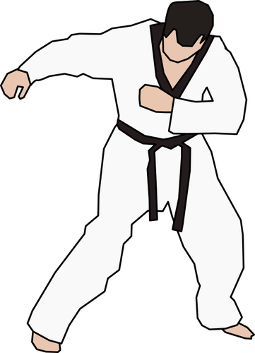 Taekwondo-Kämpfer
