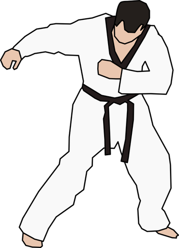 Taekwondo Fighter Public Domain Vectors