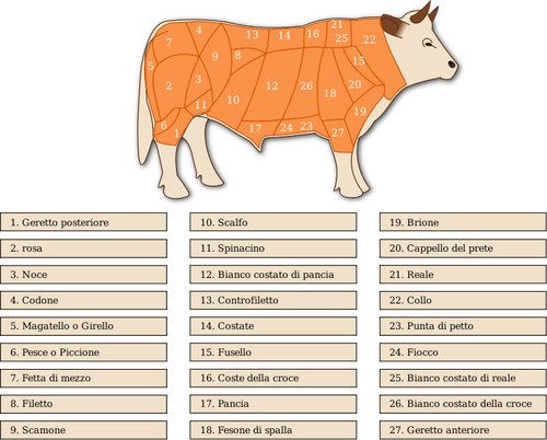 בתמונה וקטורית של בשר בקר חותך דיאגרמה