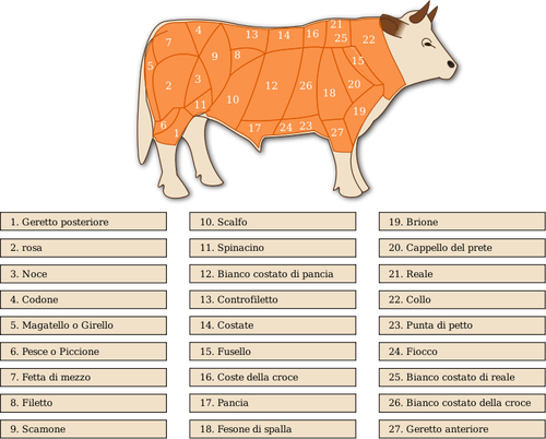 Immagine vettoriale di manzo tagli diagramma