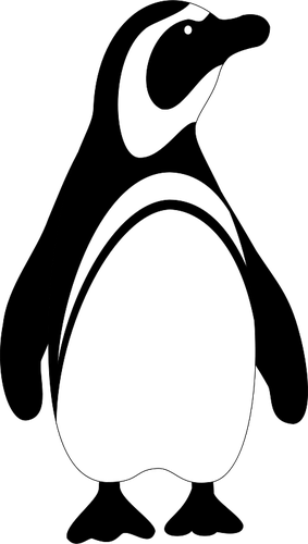 Pinguïn vogel vector