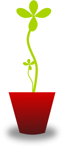 赤いポットの柔らかい緑の植物のベクトル描画