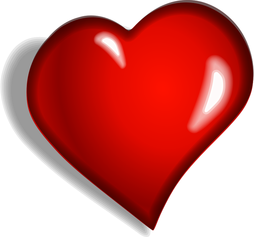 Heart vector image