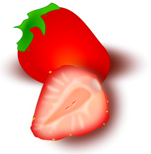 イチゴのベクトル図