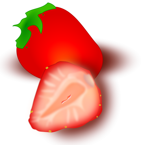 Strawberry vector illustration