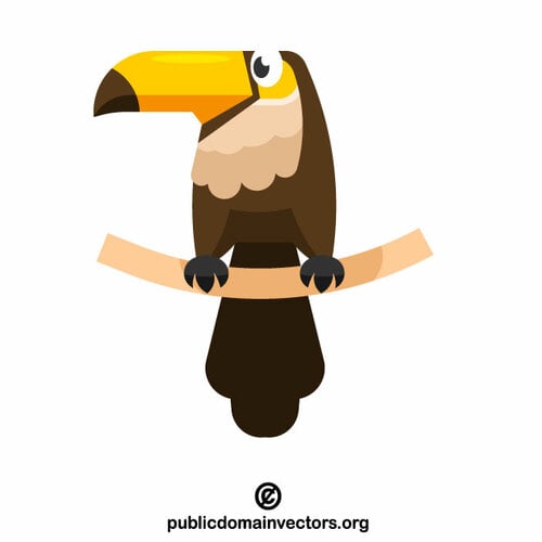 Toucan bird