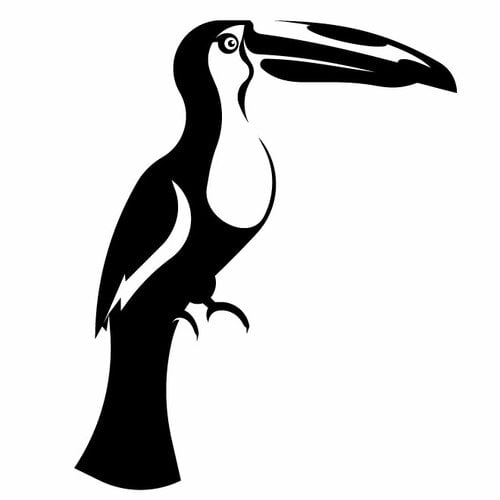 Silueta păsărilor toucan