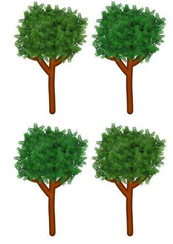 Trær