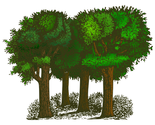 Grupp av träd