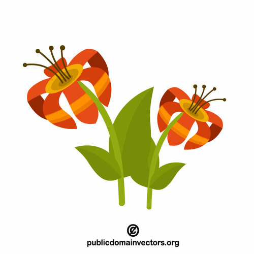 Tropical flower vector graphics