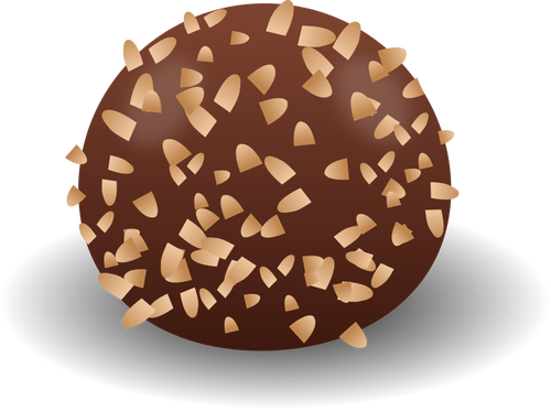 Praline vector image