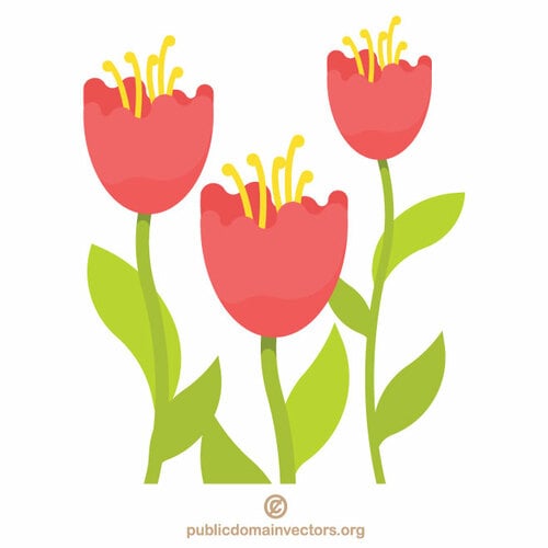 Kwiaty tulipanów