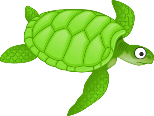 Tortuga de dibujos animados