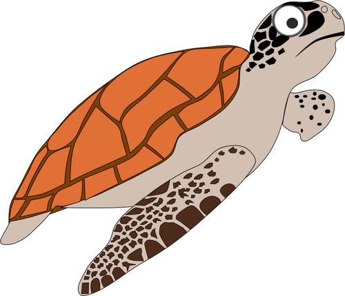 Encyclopedia želva