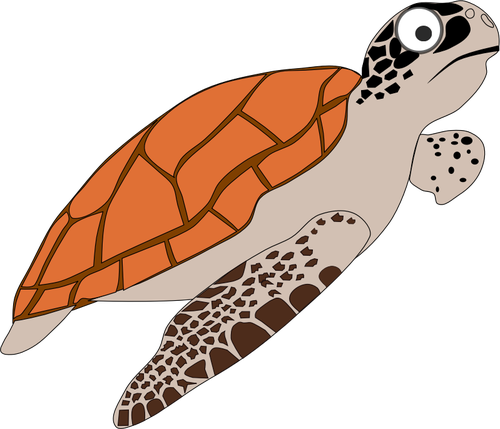 Tortue de l’Encyclopédie