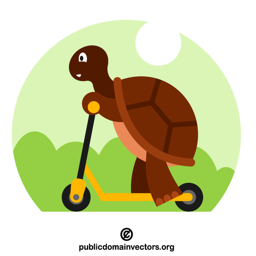 Tortue chevauchant la trottinette