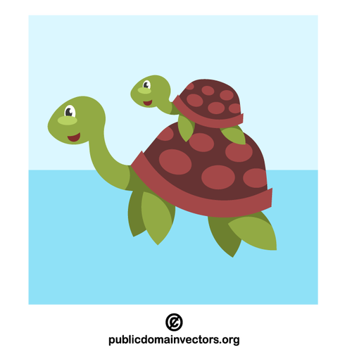 Żółw z małym żółwiem