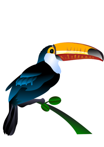 Toucan görüntü