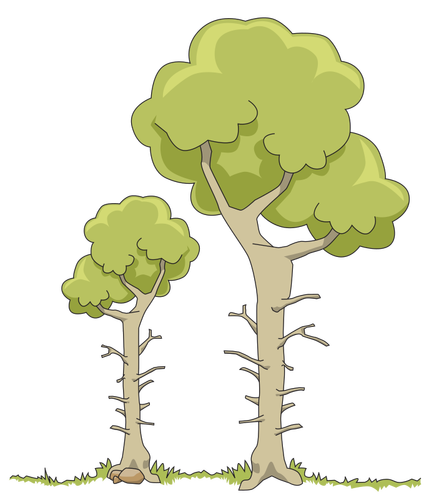 Two forest trees