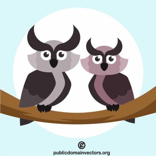 Two owls on the tree branch