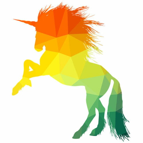 Unicorn color silhouette