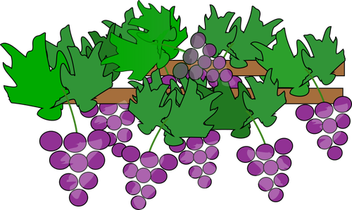 Cultivo de uvas