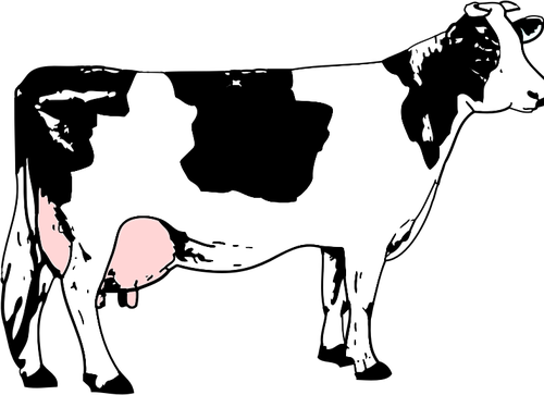 Vector image of cow full of milk