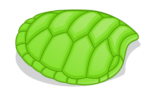 Turtle hoof